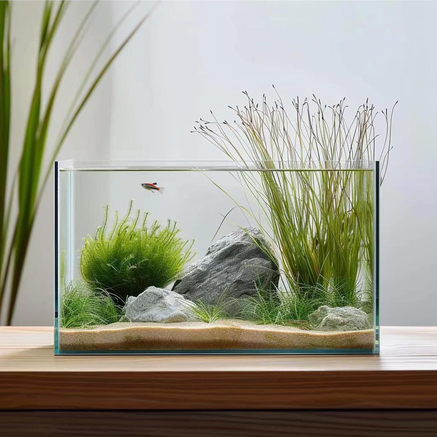 3 Gallon Glass Fish Tank,